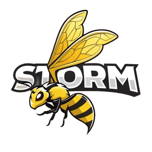 BeeStorm logo